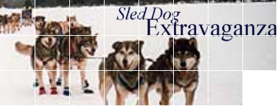 Sled Dog Extravaganza